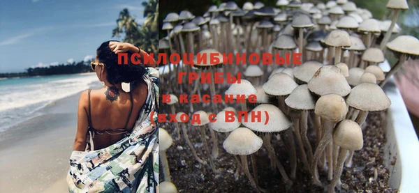 винт Кукмор