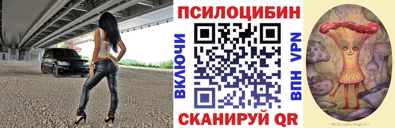 Галлюциногенные грибы MAGIC MUSHROOMS  дарк нет состав  Барнаул 